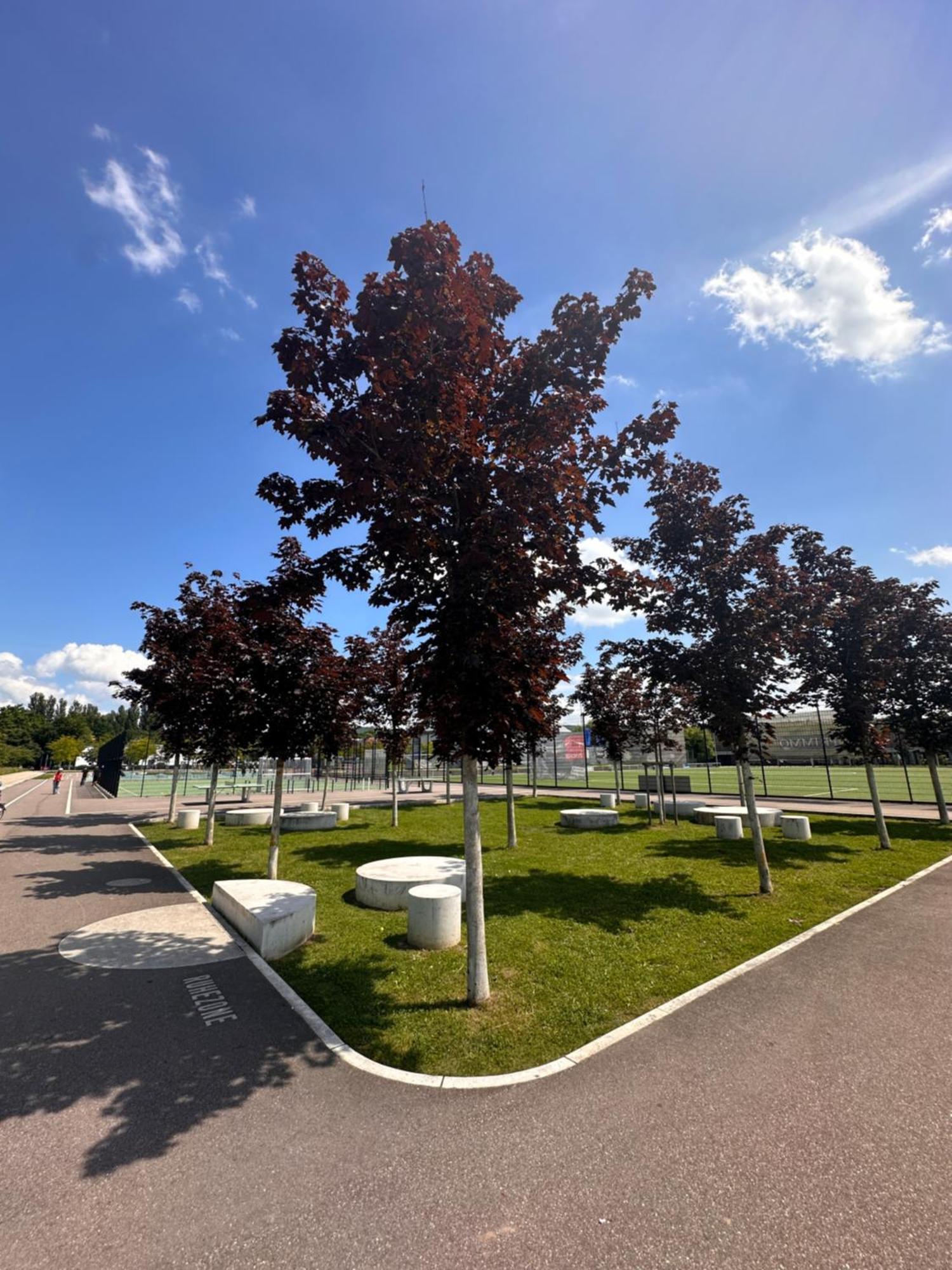 Amao-Brown I Exklusives City-Apartment I 85Qm I Privatparkplatz & Komfort I King-Size Bed Лар Екстериор снимка